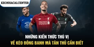 Những kiến thức thú vị về kèo đồng banh mà tân thủ cần biết